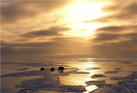 Recensione di Earth – La nostra&nbsp;Terra