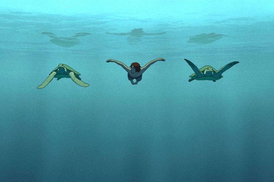 LA TARTARUGA ROSSA: LA&nbsp;RECENSIONE